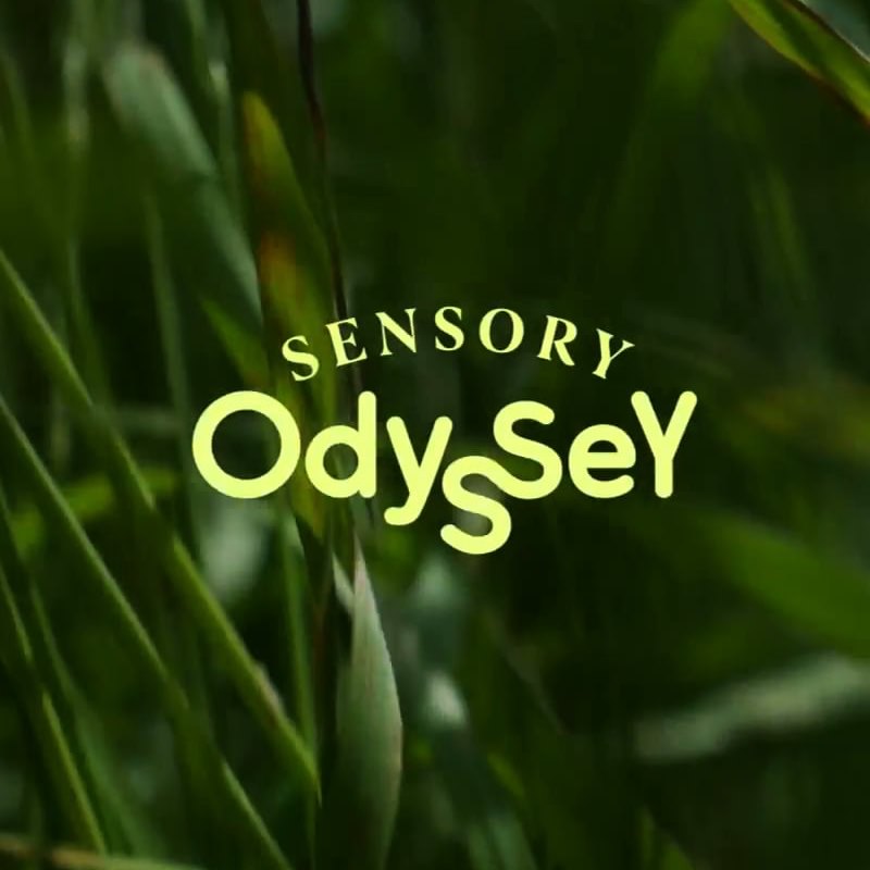 L’Odyssée sensorielle au Muséum jusqu'au 4 juillet 2022