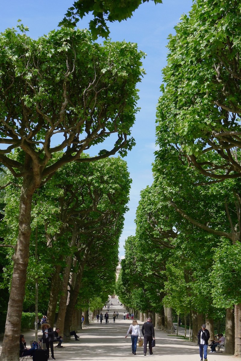 Calm et verdure - les espaces verts près de nos hôtels