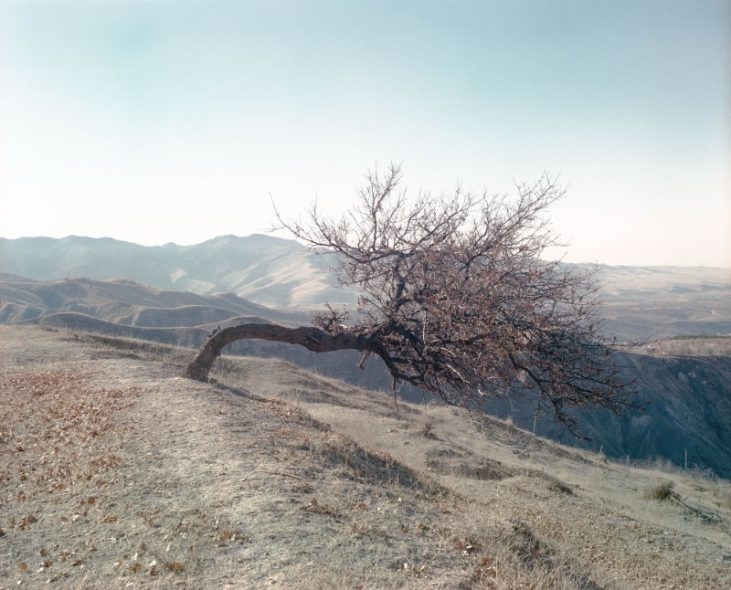 The winners of four different photo prizes on show at the BnF, 10th December 2024 - 30th March 2025