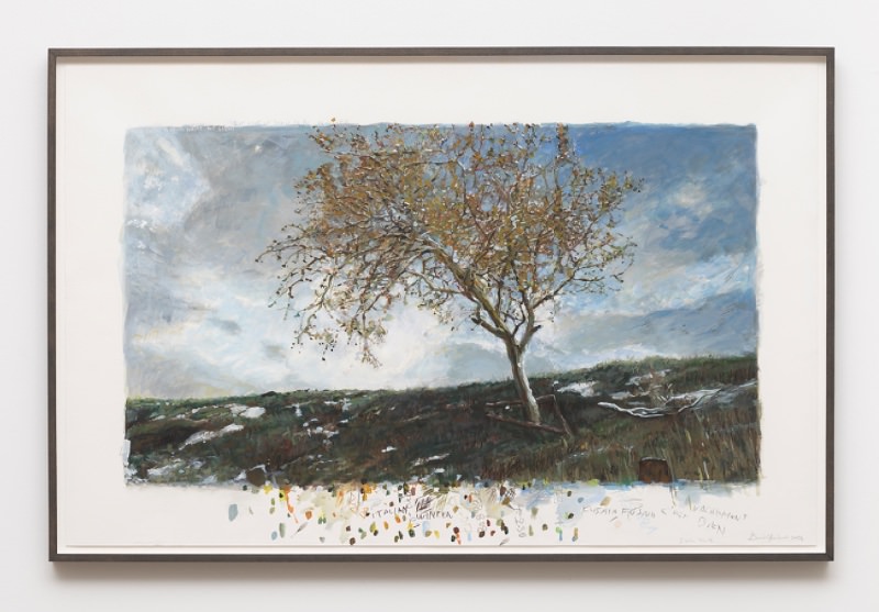 David Claerbout - Spring, Slowly exhibition at the Orangerie, 12th March-9th June 2025